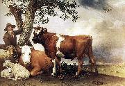 paulus potter The bull. oil painting artist
